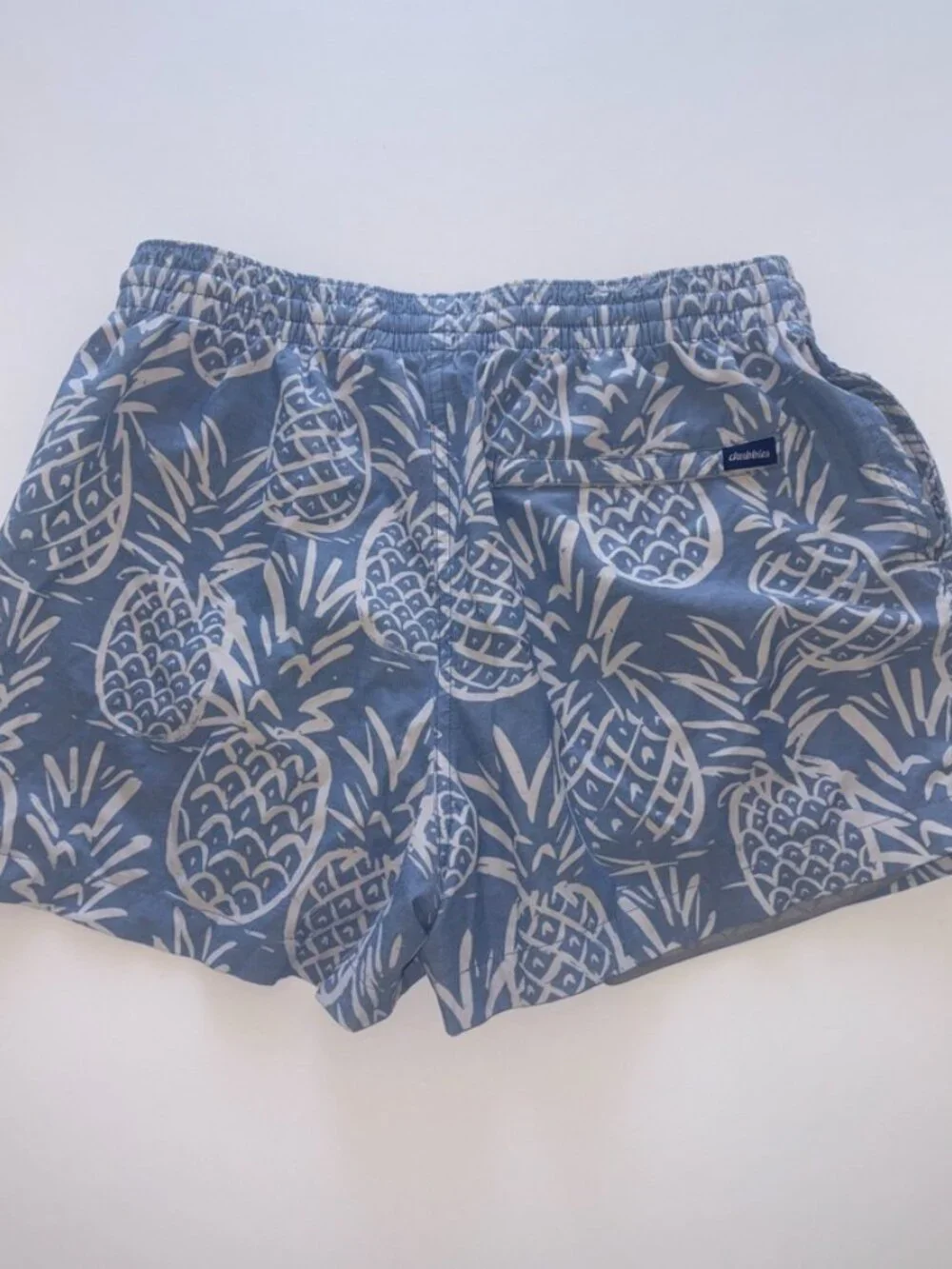 Chubbies Men's 